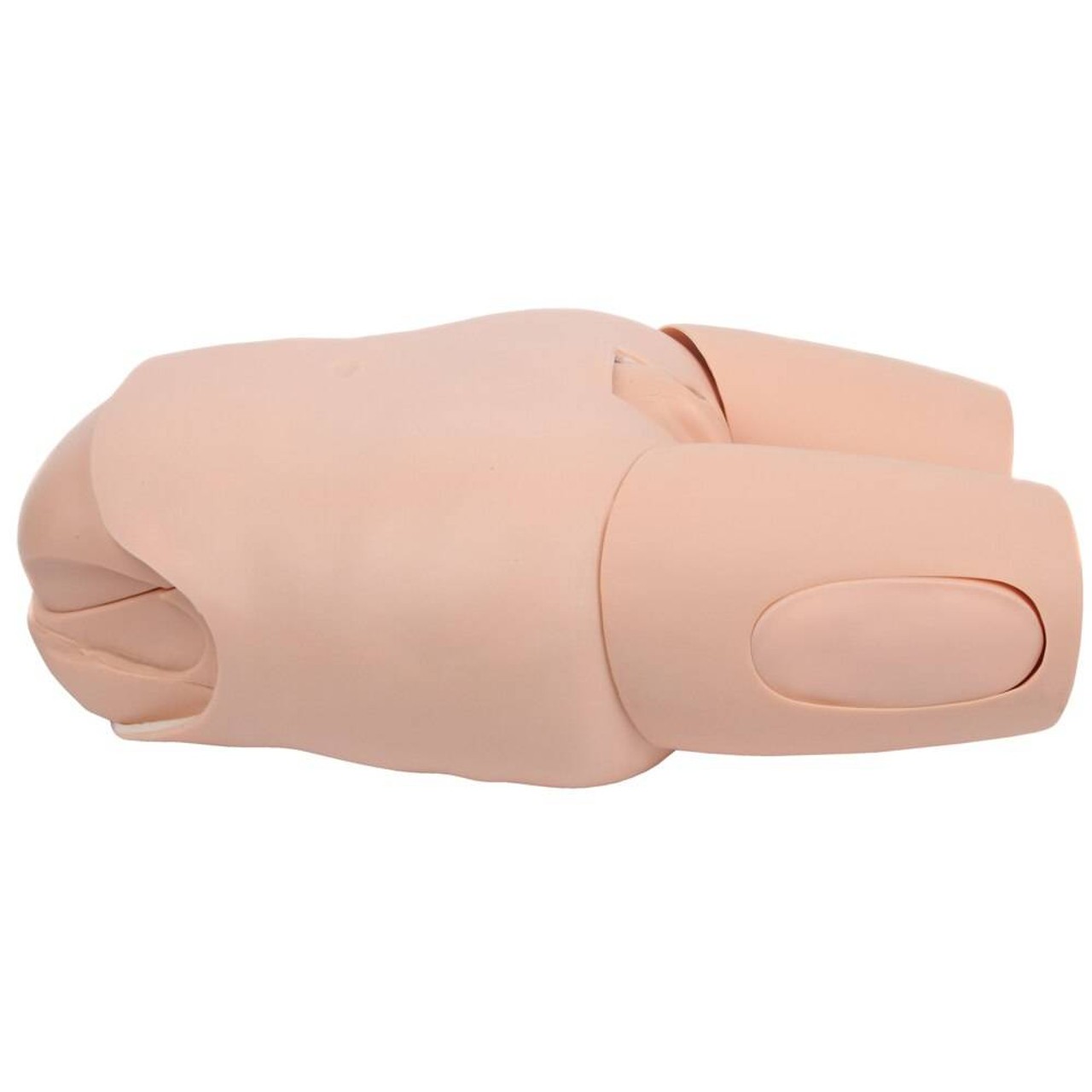 Anatomy Lab Advanced Fundus Assessment Skills Trainer