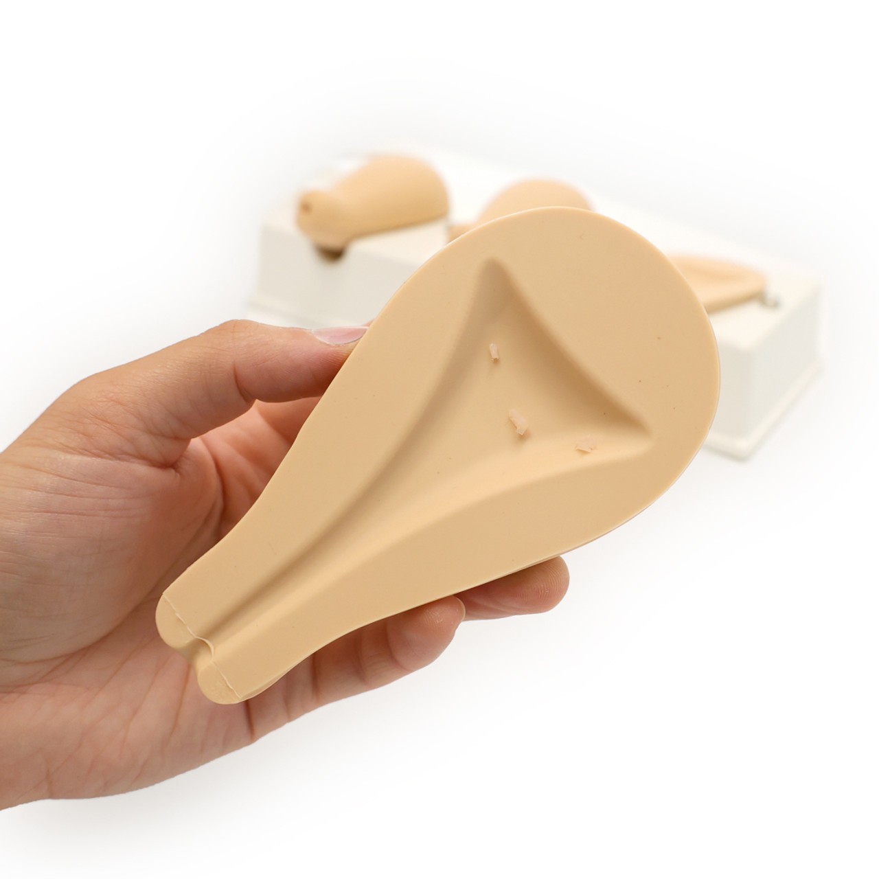 Anatomy Lab Dilatation and Curettage Model