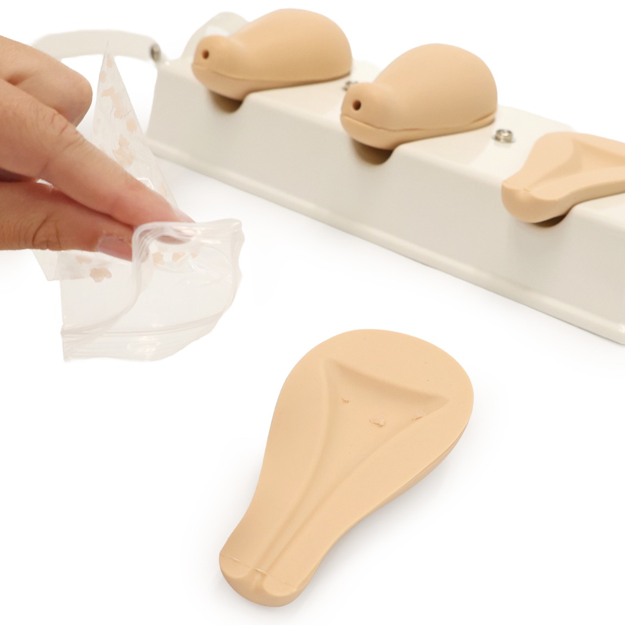 Anatomy Lab Dilatation and Curettage Model