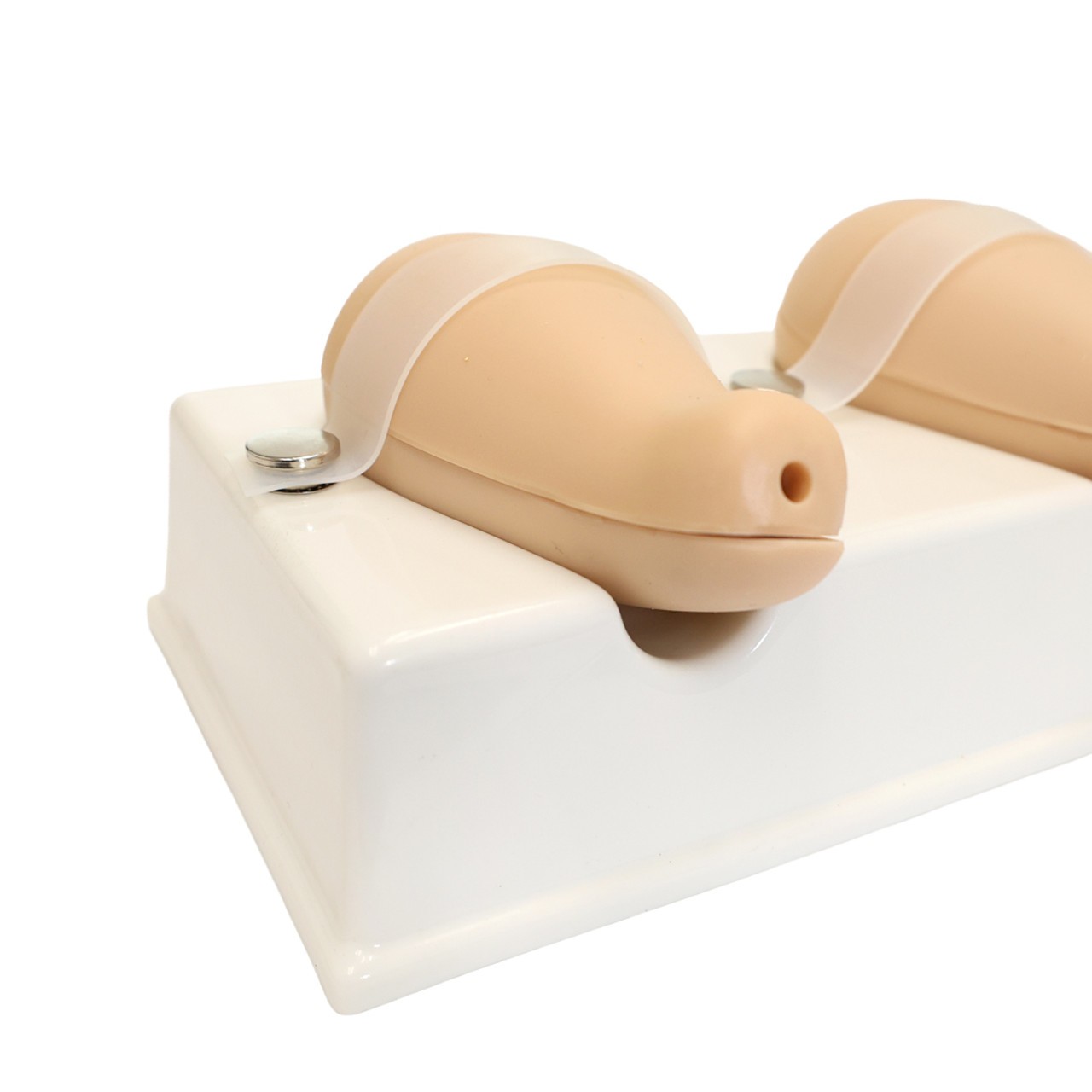 Anatomy Lab Dilatation and Curettage Model