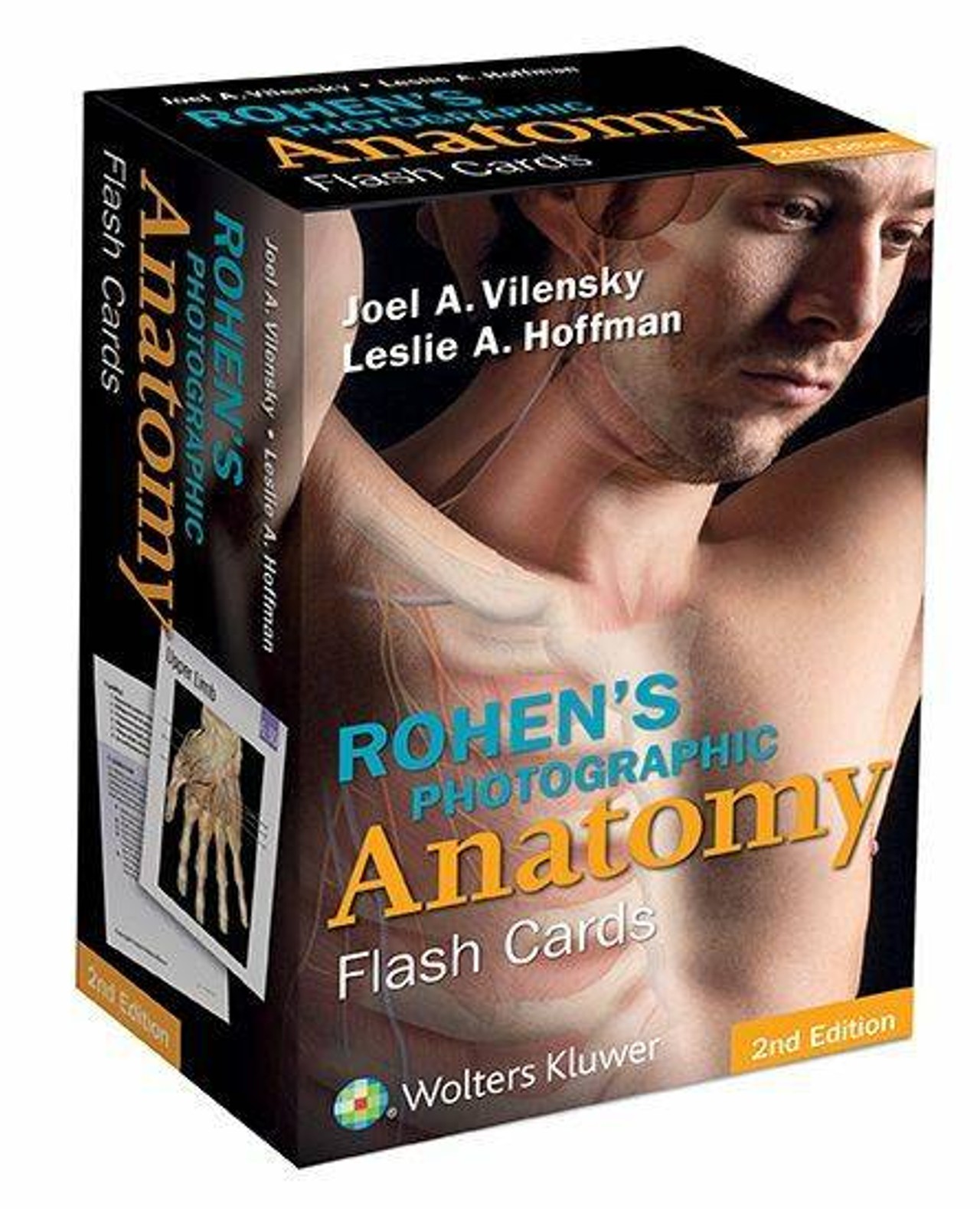 Rohens Photographic Anatomy Flash Cards
