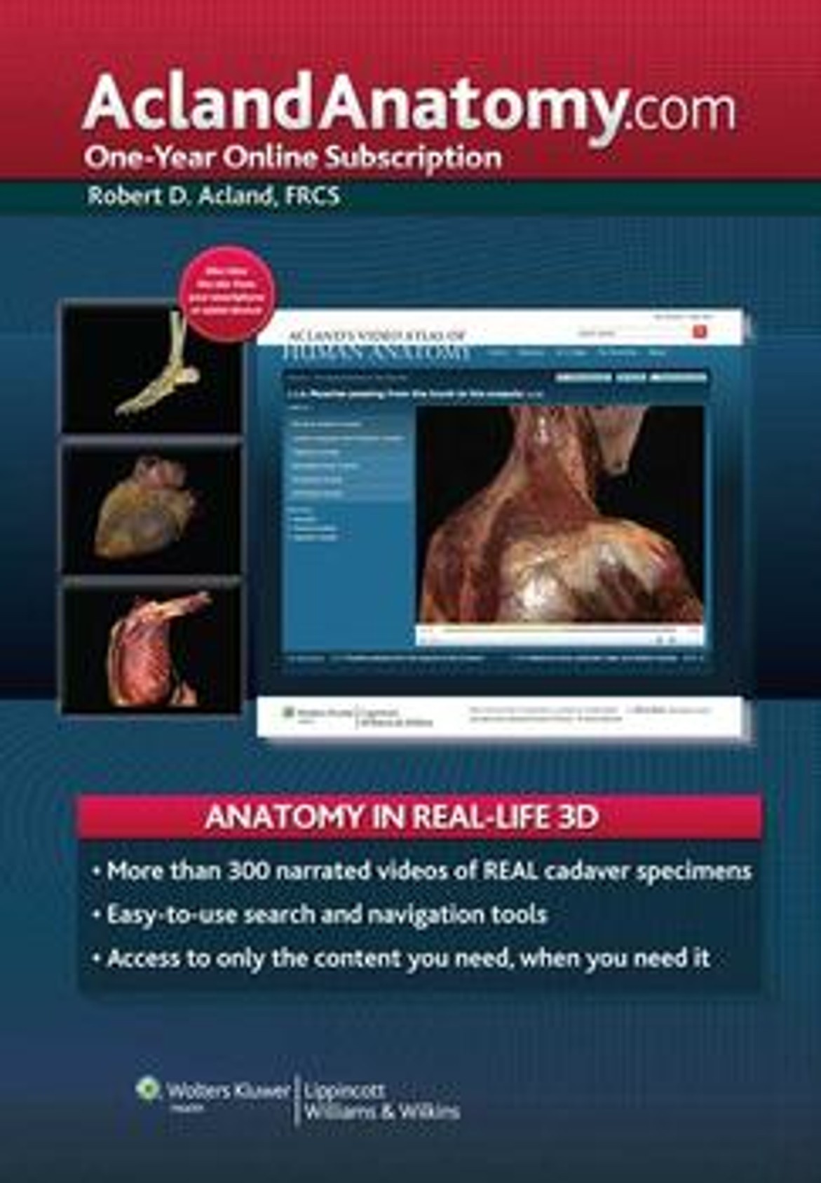 大人気新品をすべて Chart Anatomical Company One Atlas Human AclandAnatomy.com 健康・医学