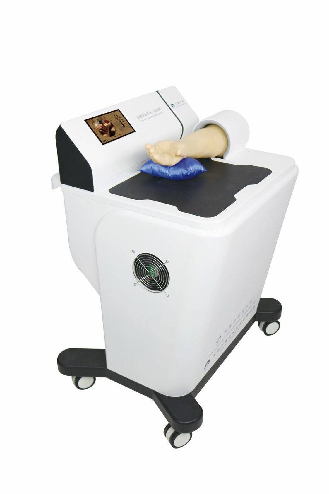 Anatomy Lab Pulse Training Simulator - Overview