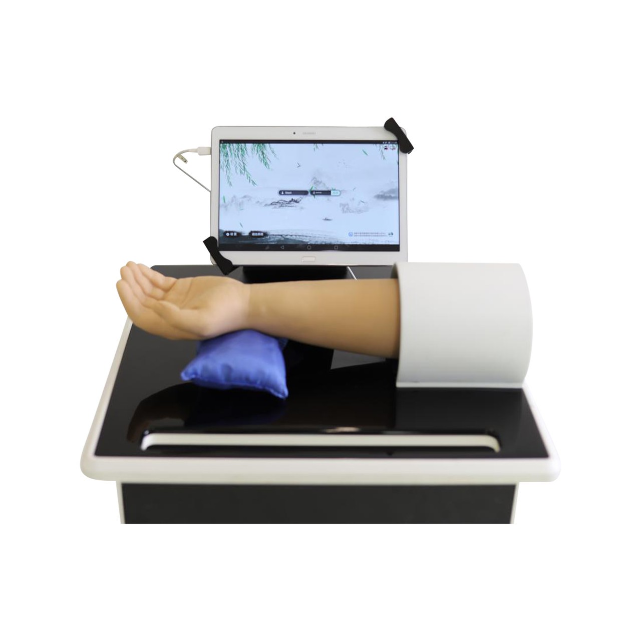 Anatomy Lab Pulse Training Simulator - Detail View