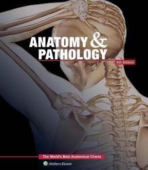 Anatomy and Pathology - The Worlds Best Anatomical Charts - 6th Edition