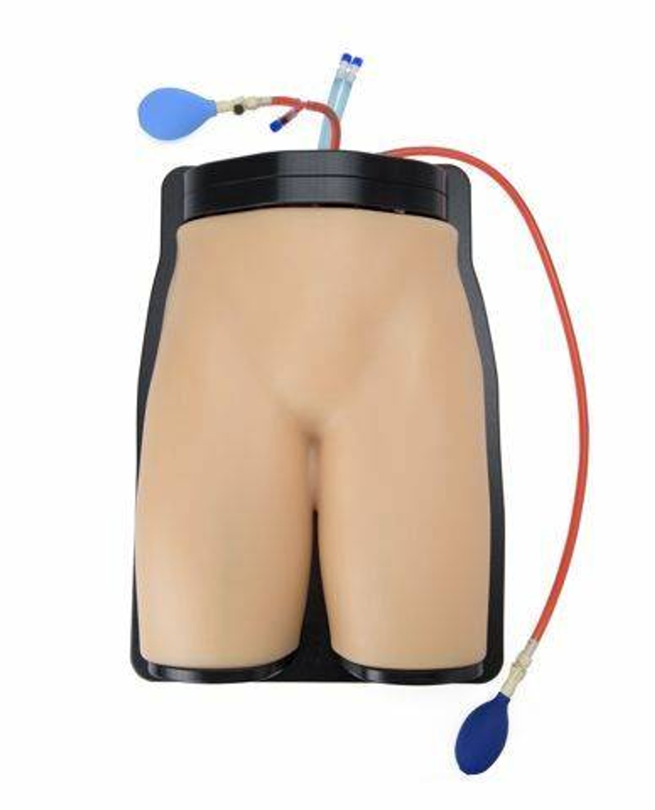 Gen II Femoral Vascular Access and Regional Anesthesia Ultrasound Training Model