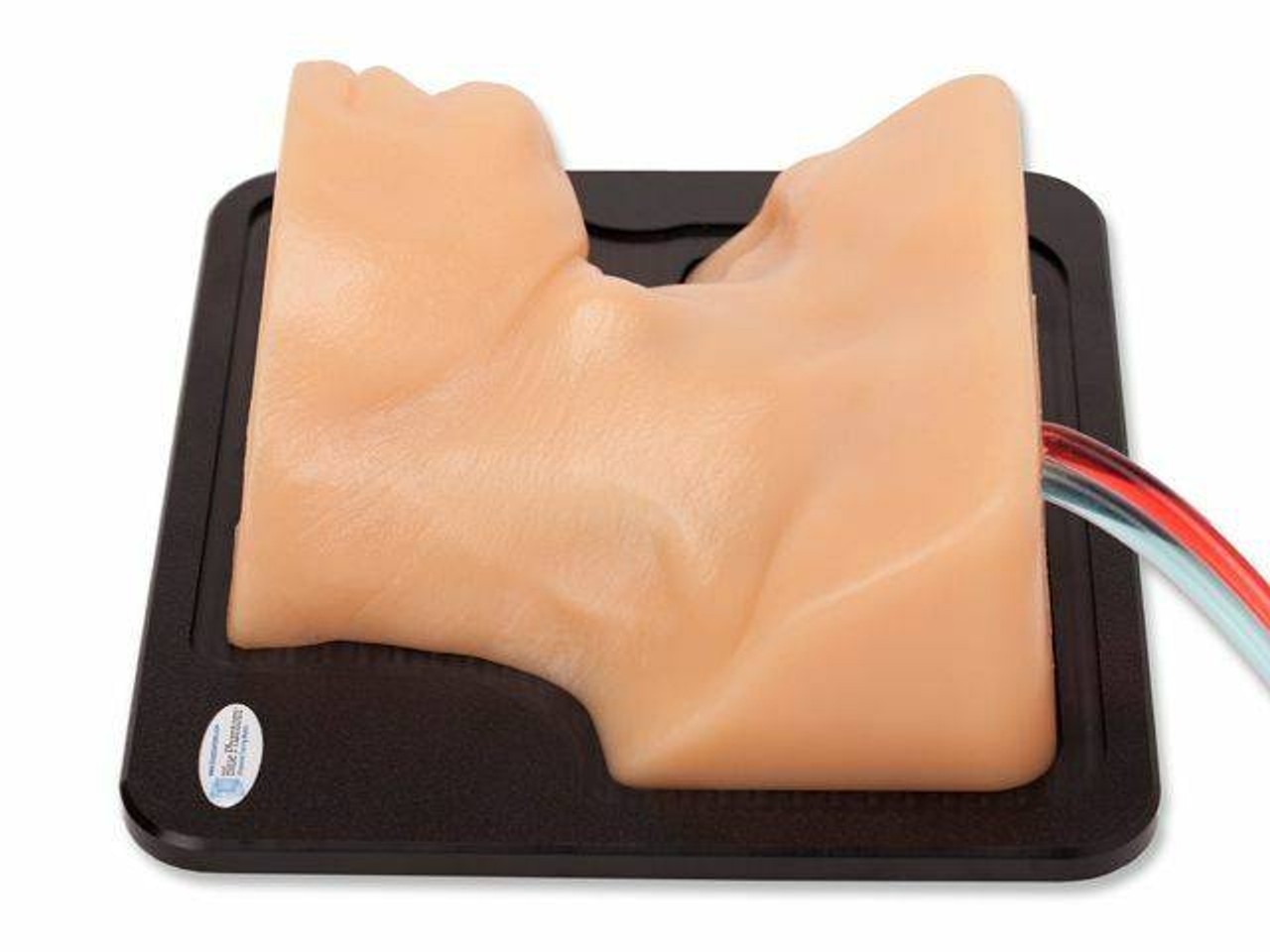 Internal Jugular Central Line Ultrasound Manikin
