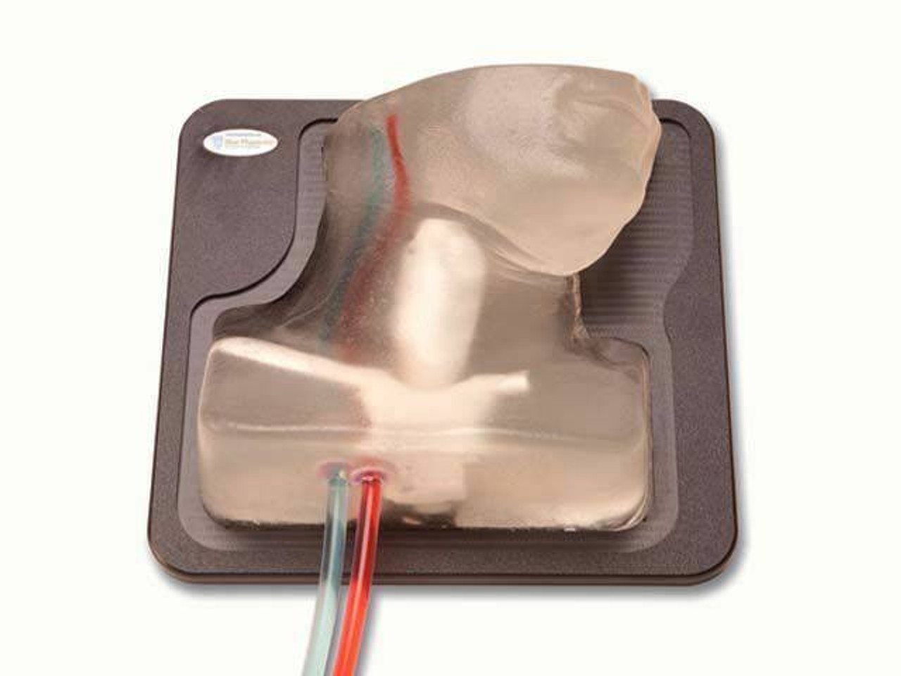 Internal Jugular Central Line Ultrasound Manikin - Transparent