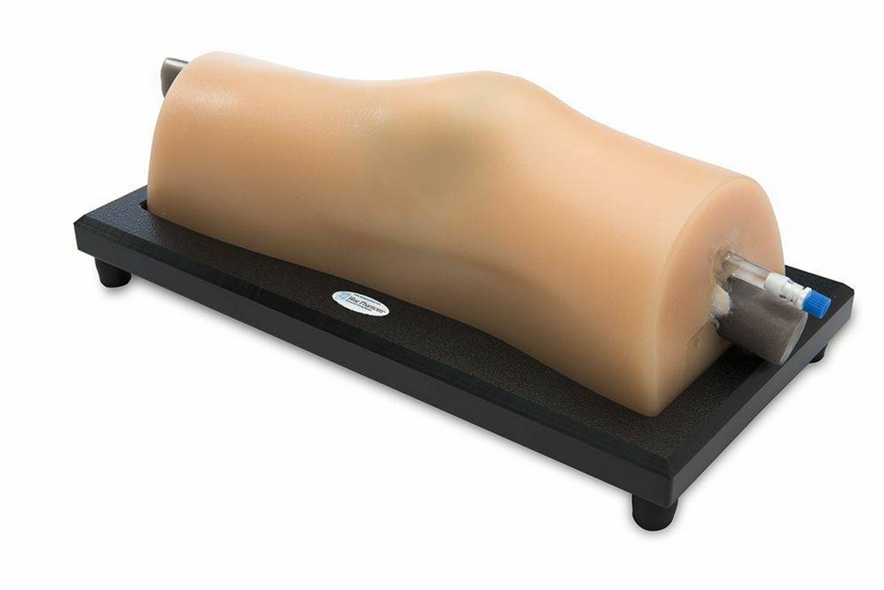 Blue Phantom Musculoskeletal MSK Ultrasound Training Model