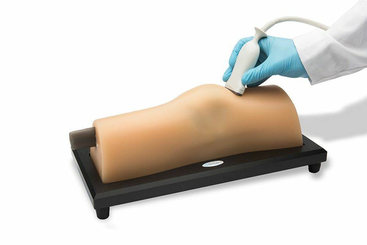 Blue Phantom Musculoskeletal MSK Ultrasound Training Model