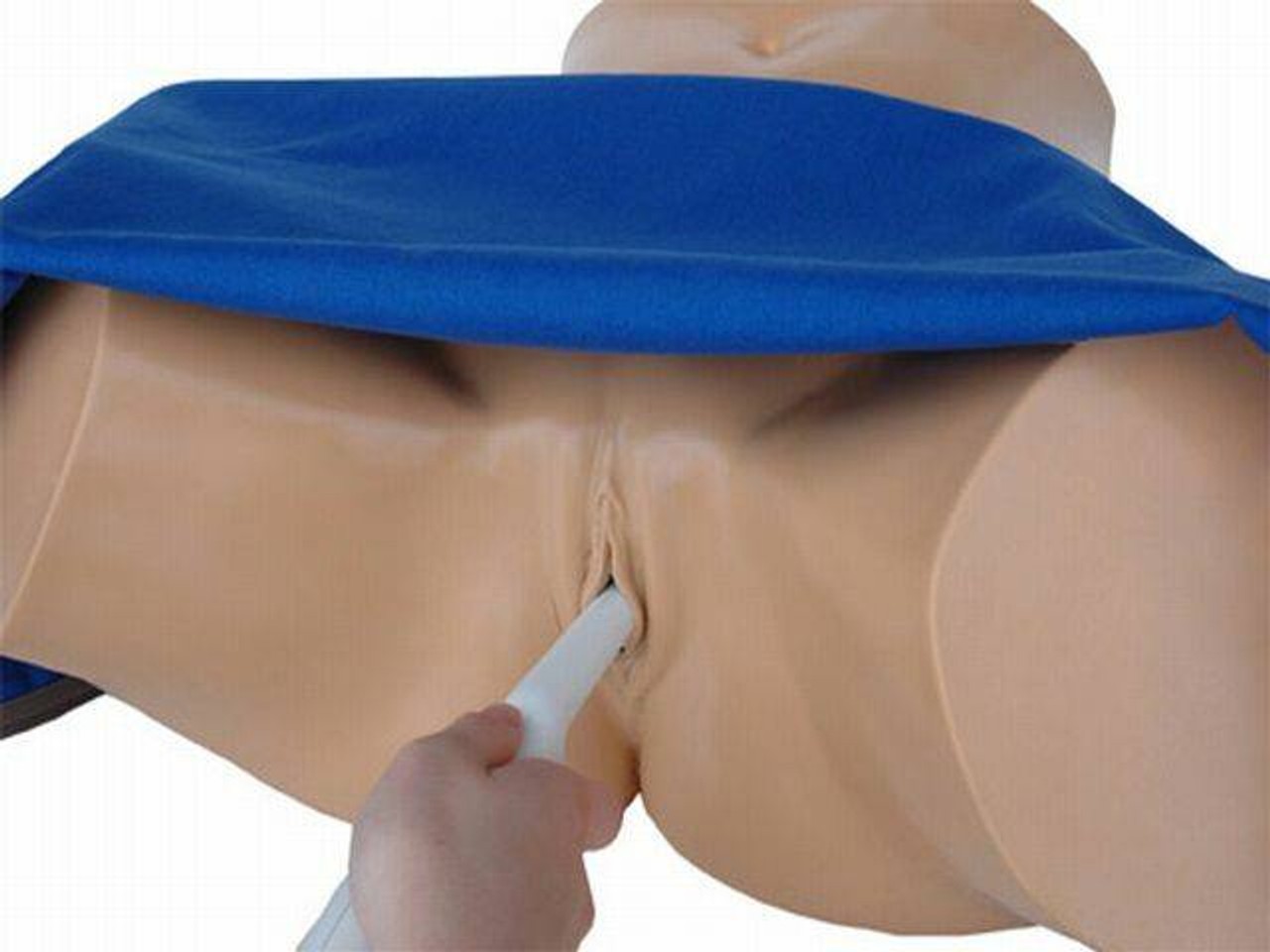 General Pathology Transvaginal Ultrasound Training Model