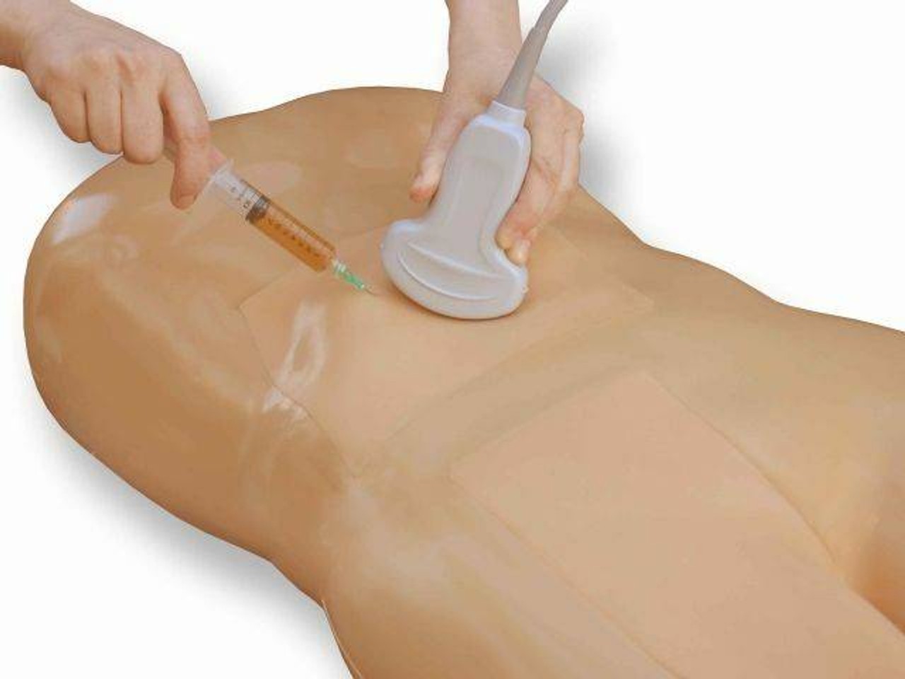 Paracentesis Ultrasound Training Model