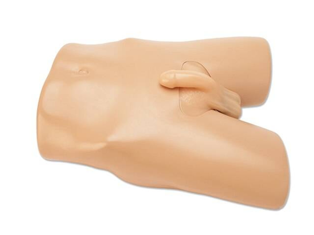 Scrotal Ultrasound Training Model
