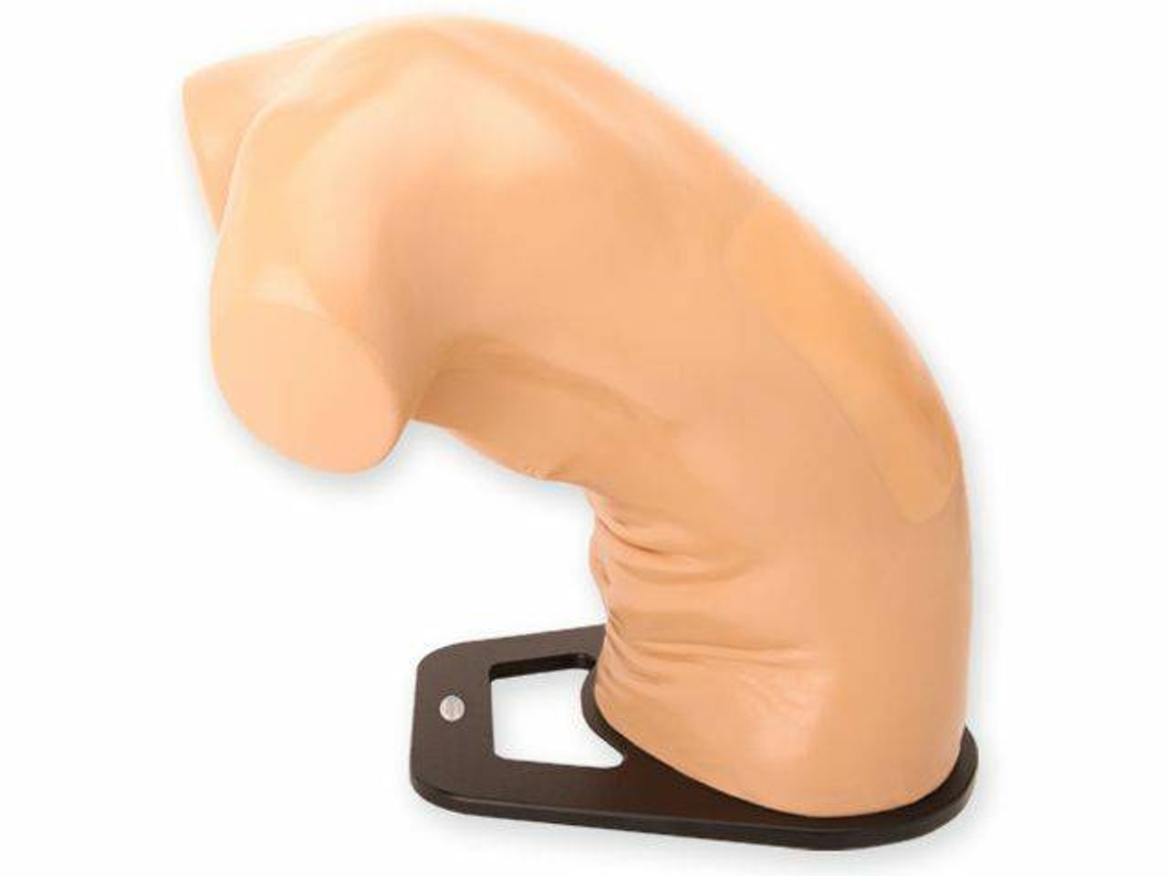 Midscapular Thoracentesis Ultrasound Training Model