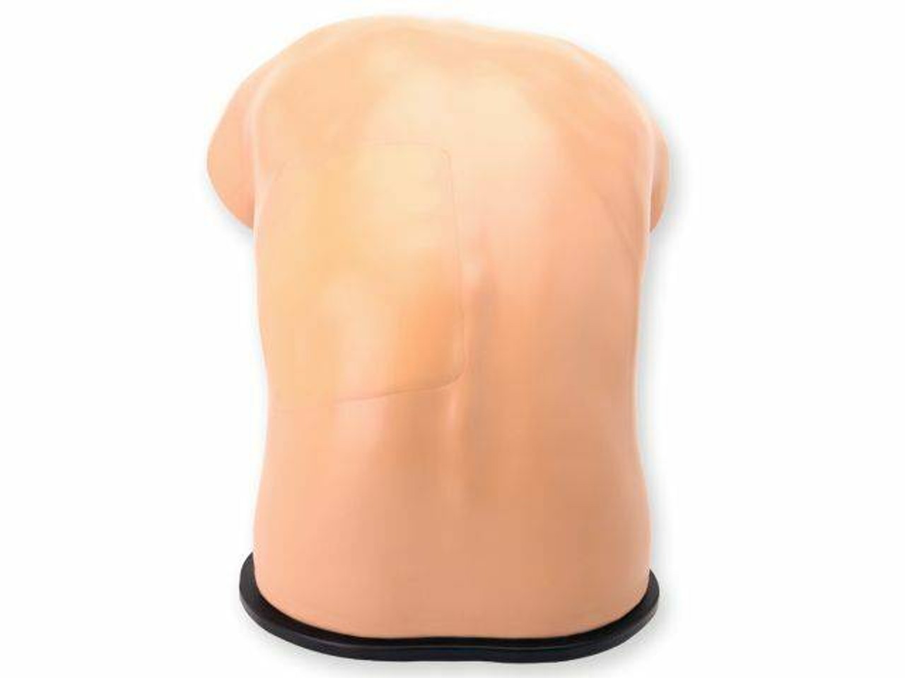 Midscapular Thoracentesis Ultrasound Training Model