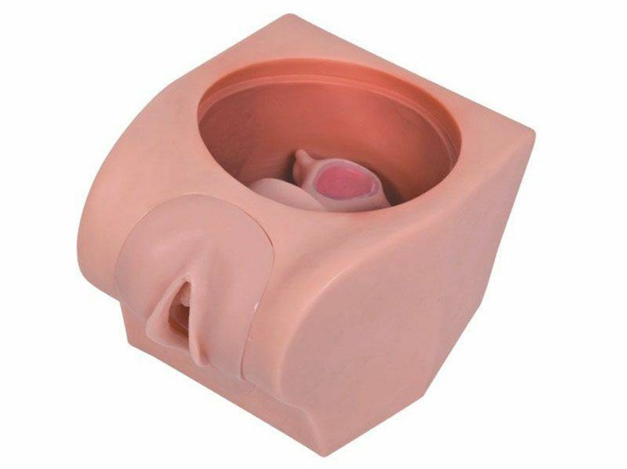 Anatomy Lab Female Contraception Model