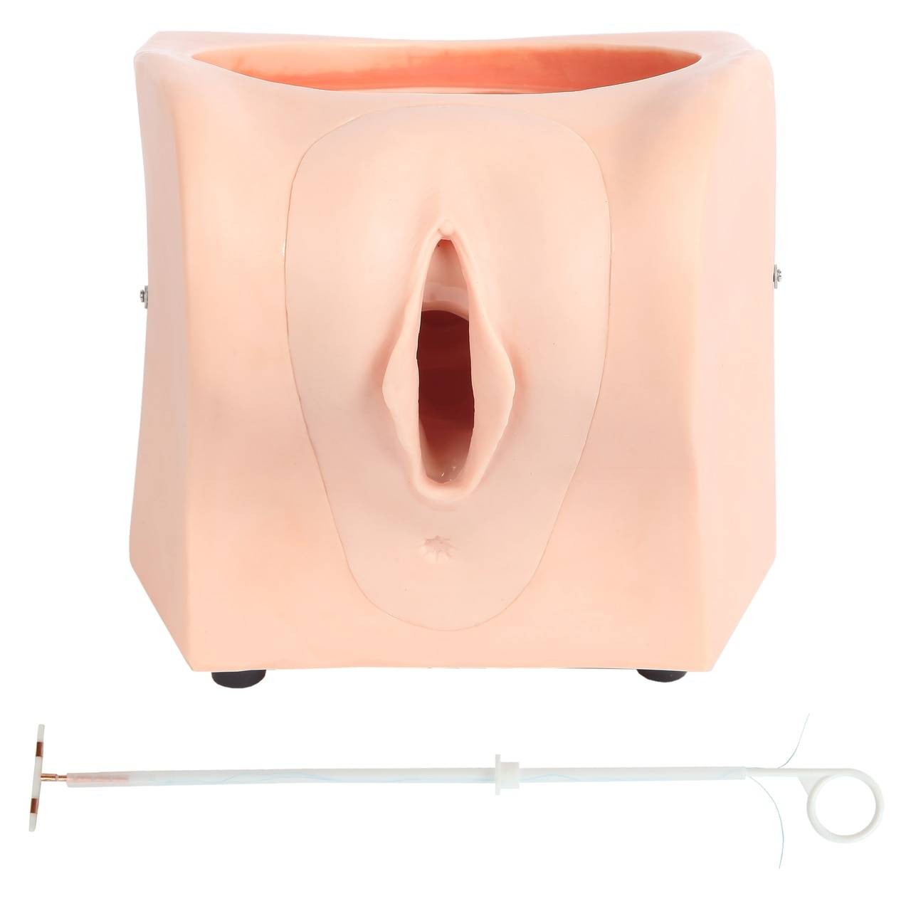 Anatomy Lab Female Contraception Model