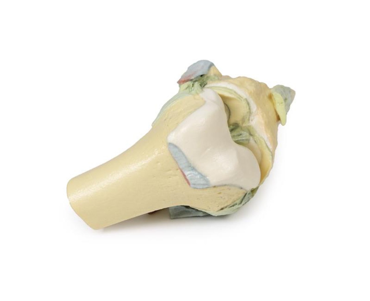 3D printed knee joint. No skin. Exposed ligaments. Bent. Close up.