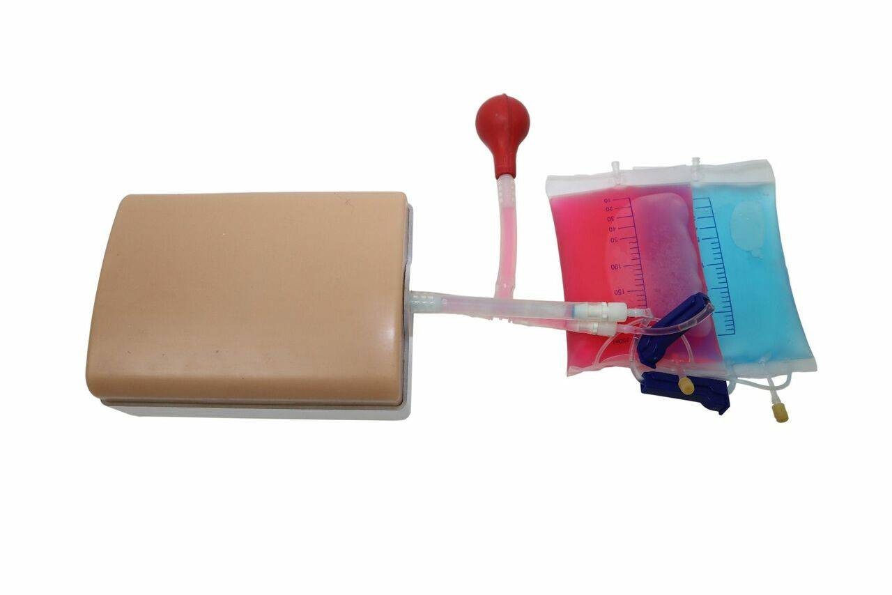 Anatomy Lab Vascular Access Ultrasound Training Model