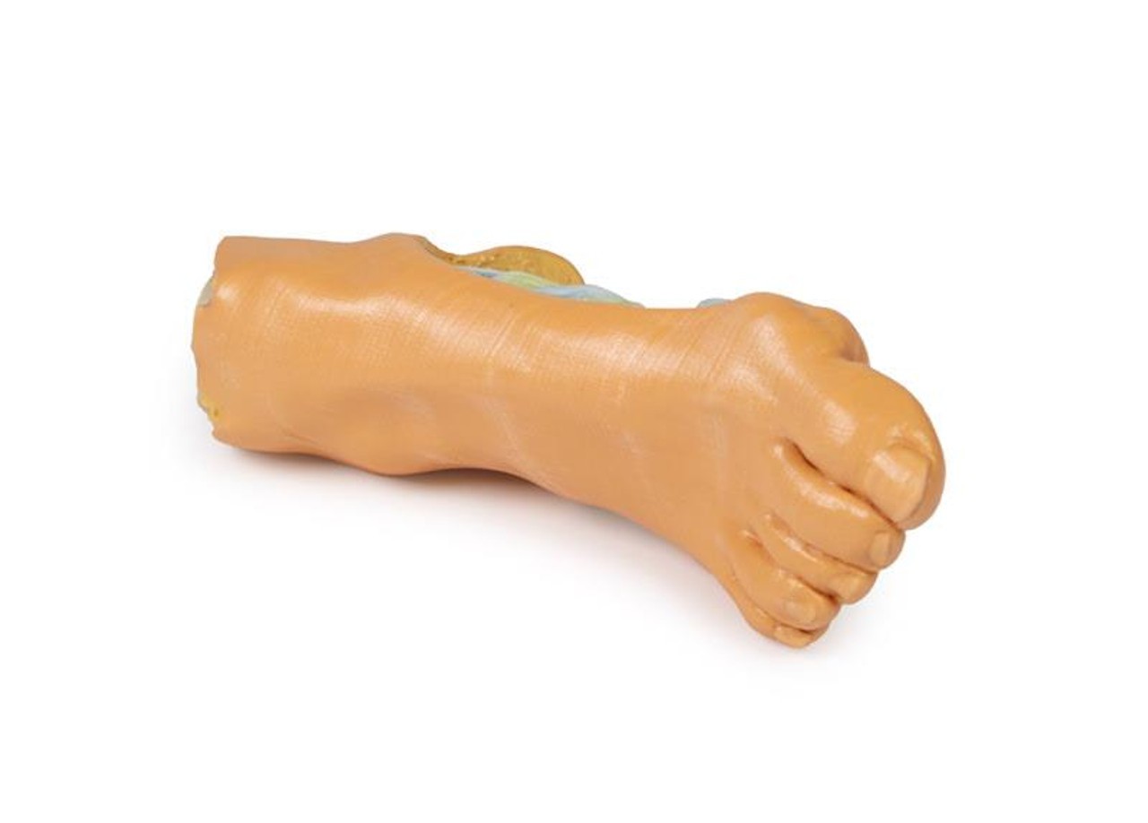 3D printed foot. Full view. Top angle.