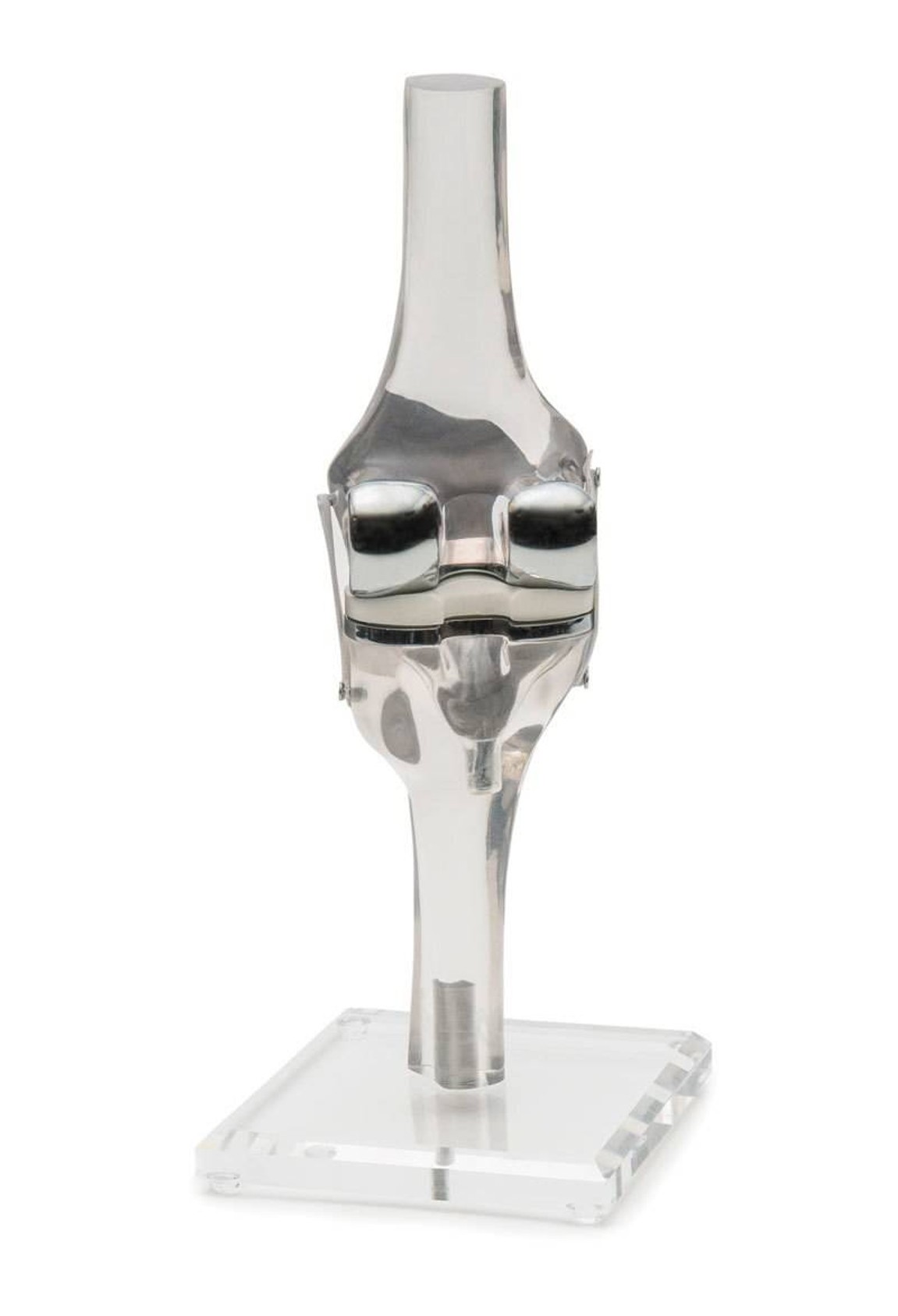 Knee Model With Endoprosthesis