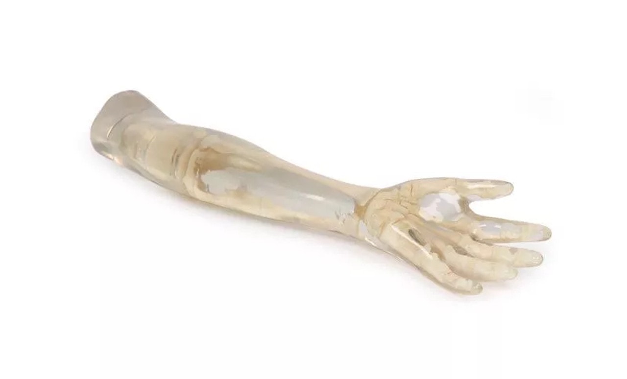 X-Ray Phantom Lower Arm, Transparent