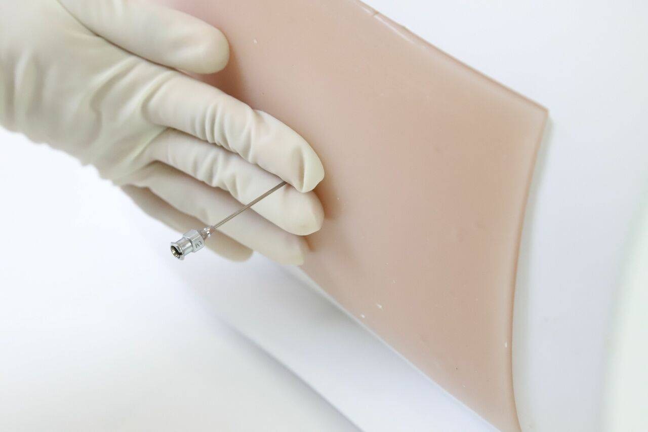 Anatomy Lab Adult Lumbar Puncture Ultrasound Training Model