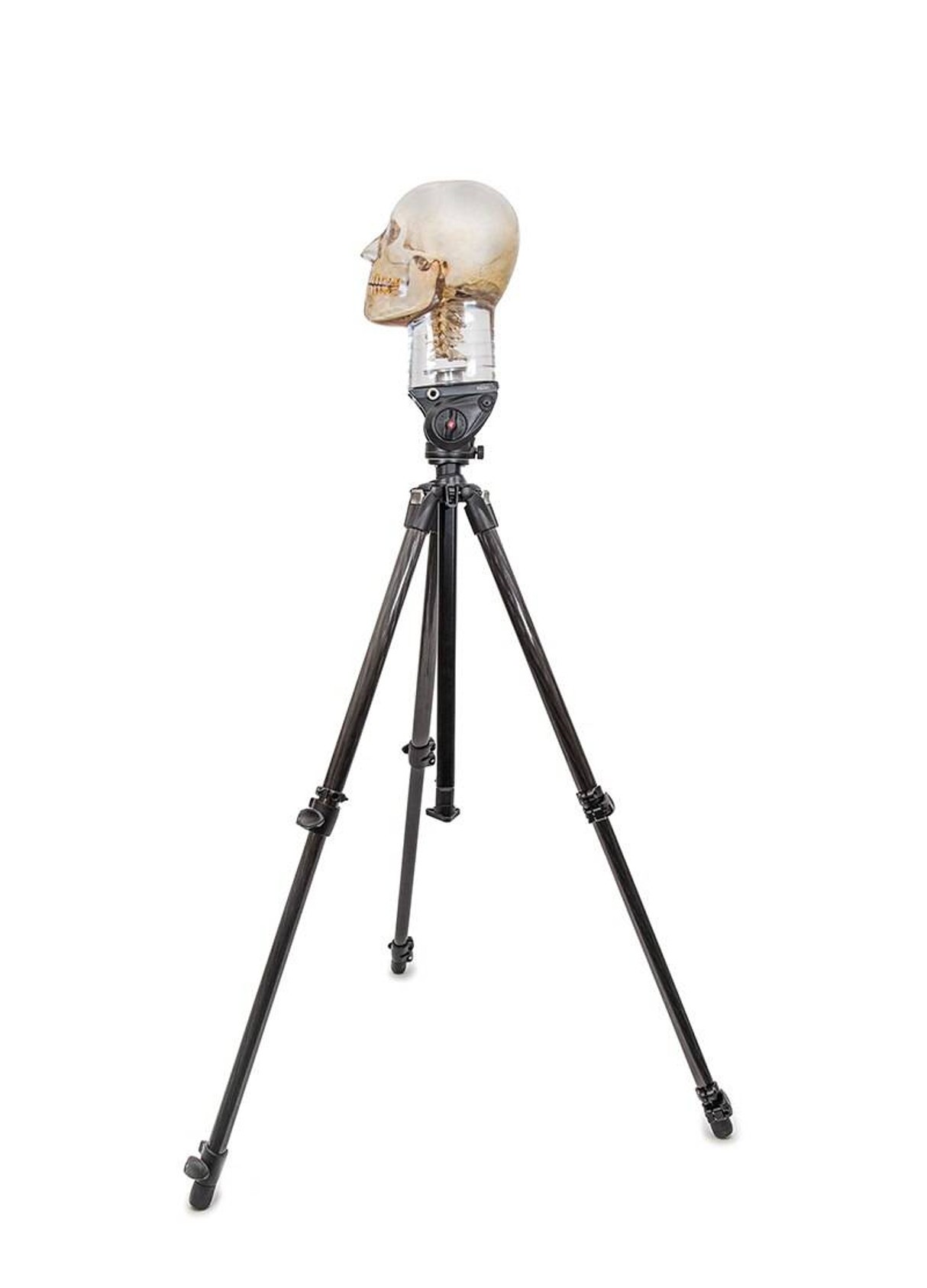 Tripod For X-Ray Phantom Head