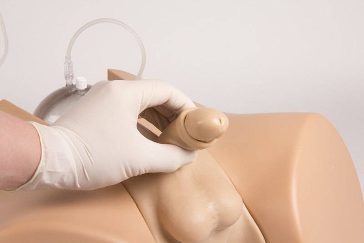 Henri and Florence Dual Sex Catheterization Trainer