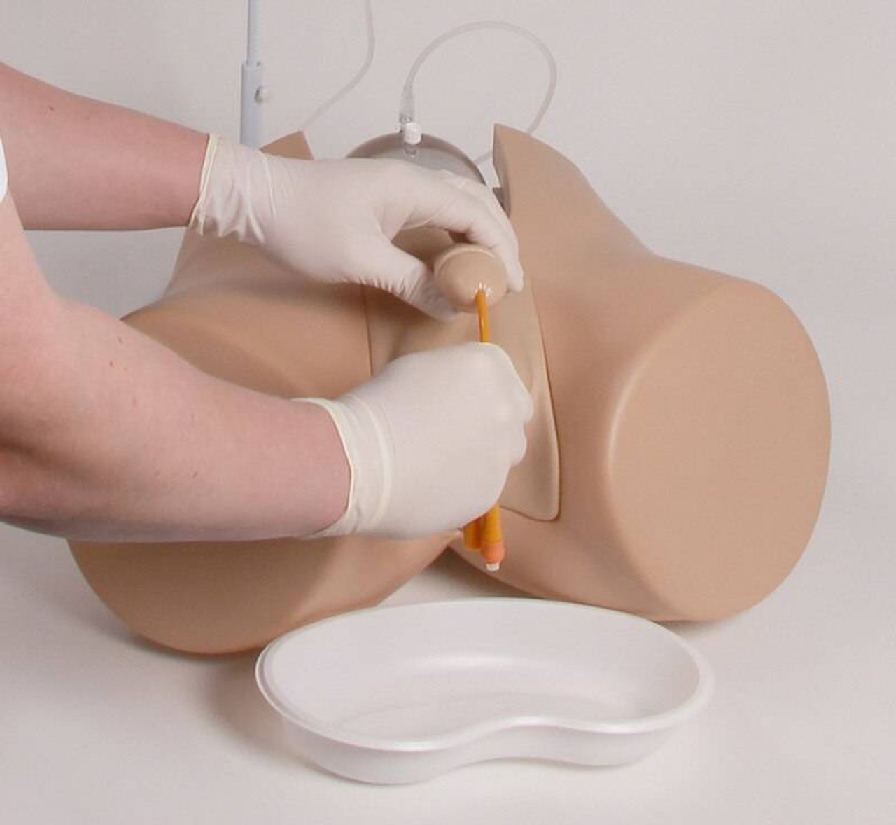 Henri and Florence Dual Sex Catheterization Trainer