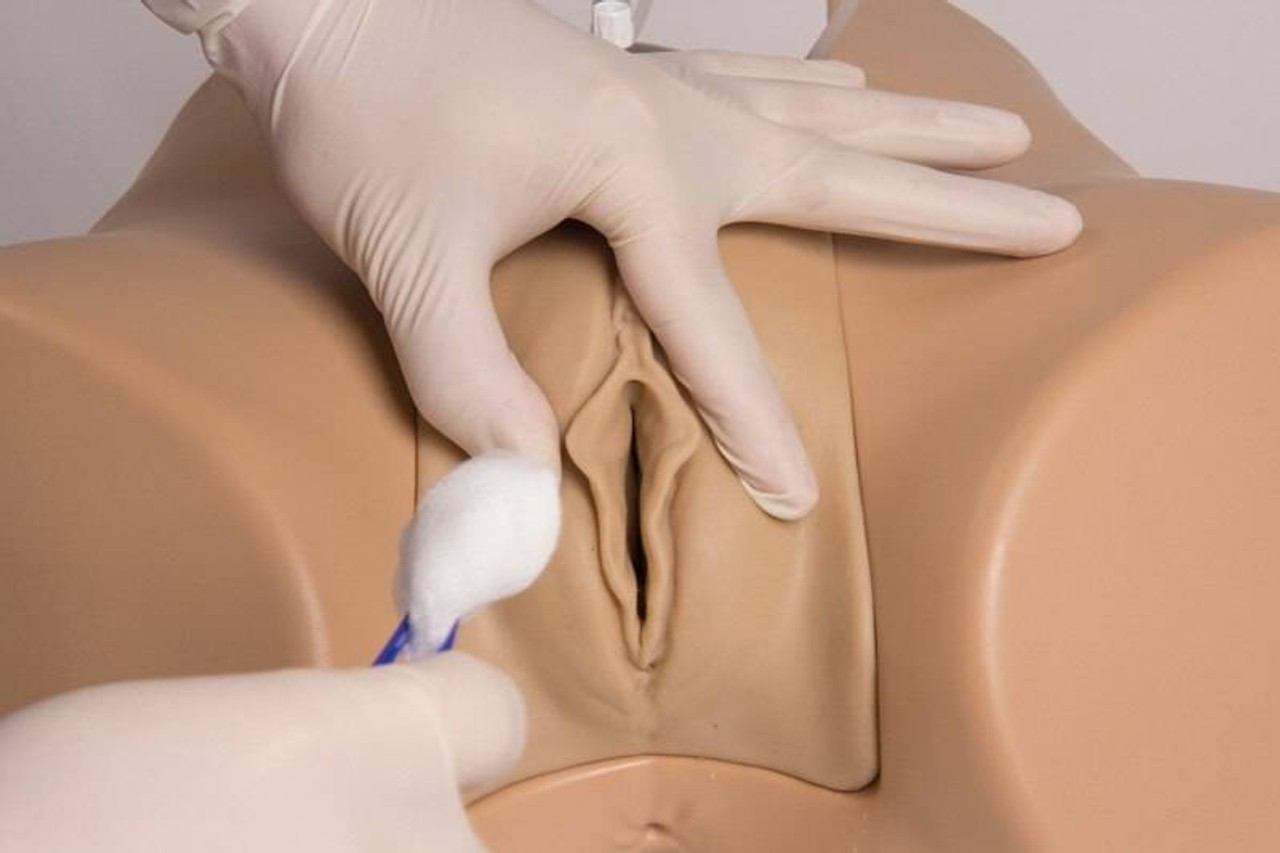 Henri and Florence Dual Sex Catheterization Trainer