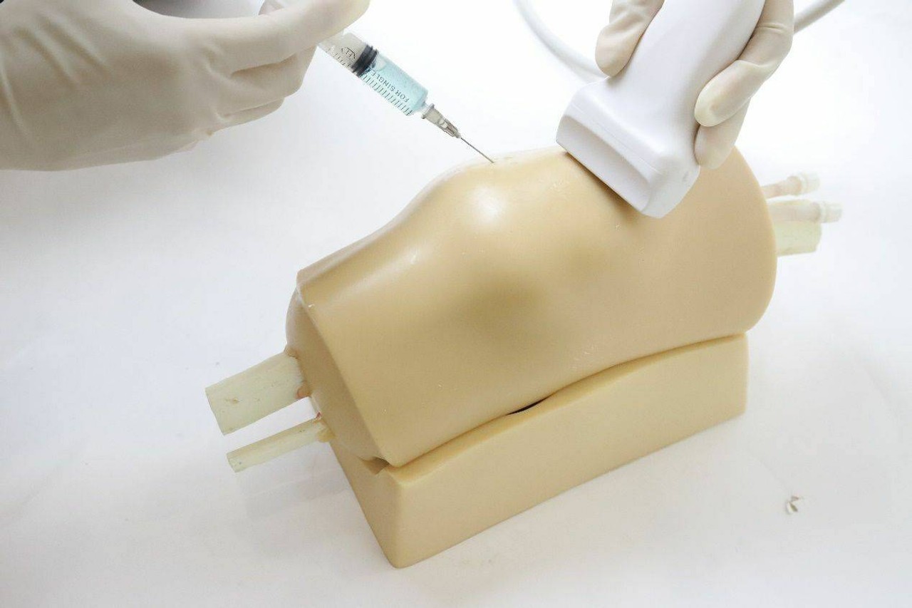 Anatomy Lab Knee Arthrocentesis Ultrasound Training Model
