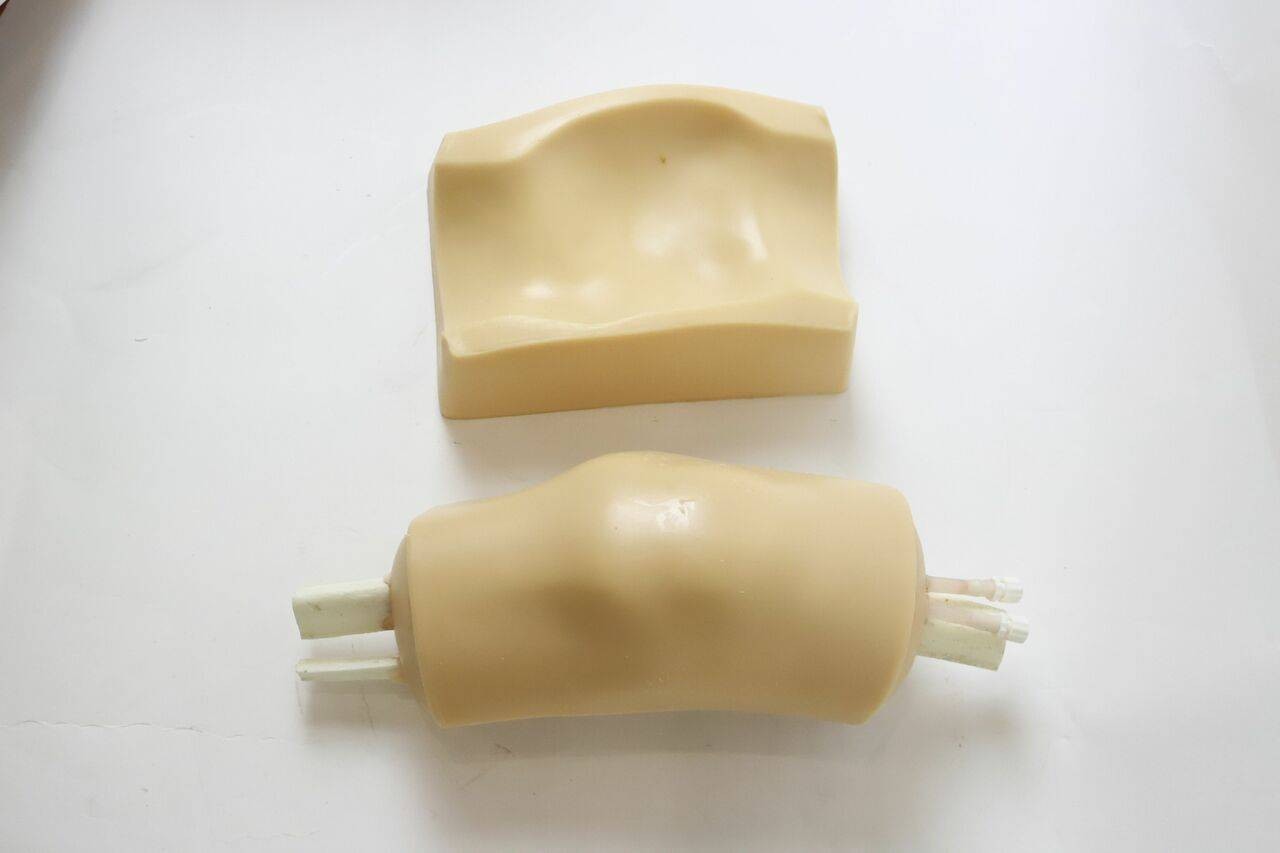Anatomy Lab Knee Arthrocentesis Ultrasound Training Model