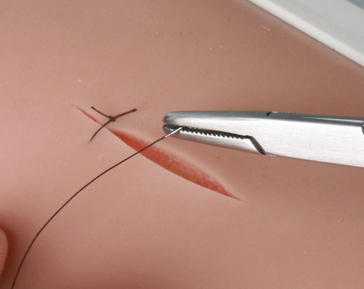 Skin Suture Trainer