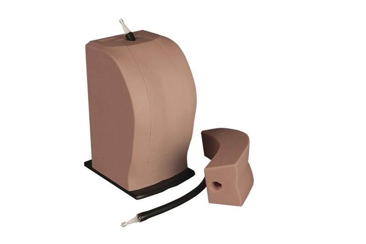 THORAXIS Thoracic Neuraxial Simulator