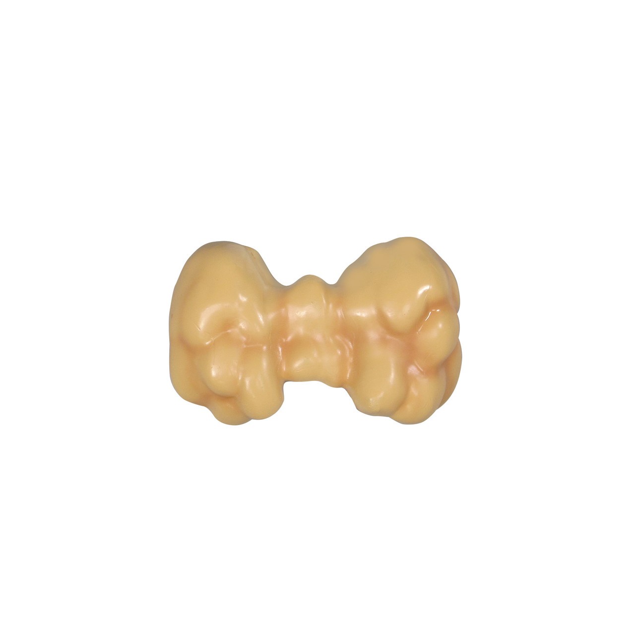 Thyroid Disease Anatomy Model