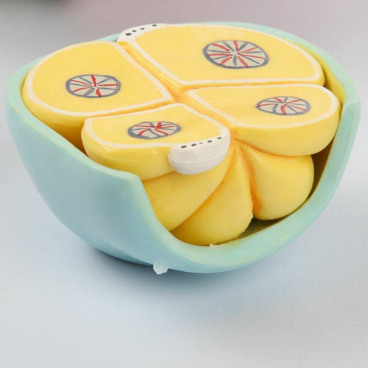 Axis Scientific Embryo Anatomy Model Set
