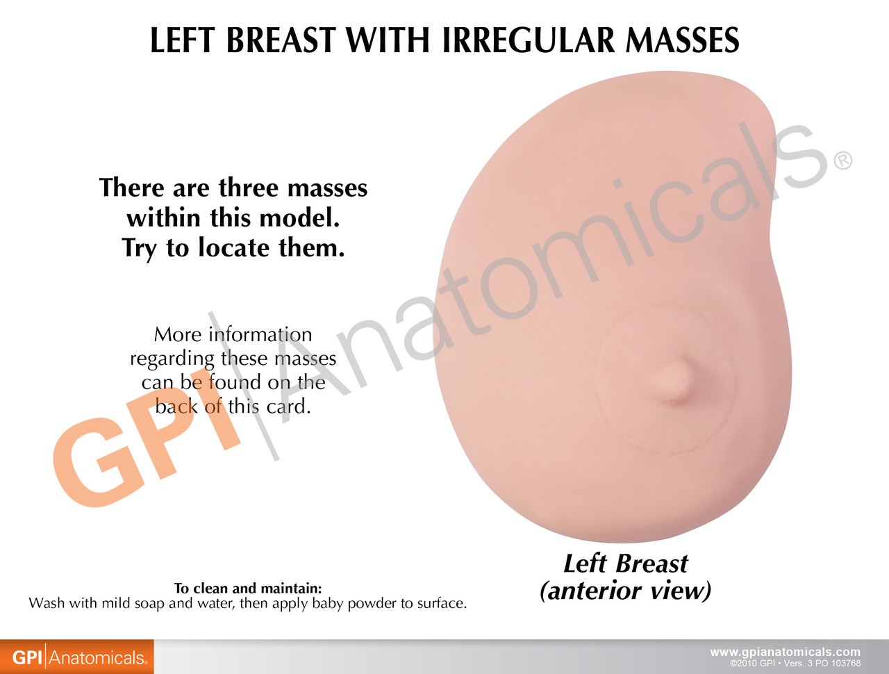 Left Breast Anatomy Model - Soft Tissue With 3 Pathologies