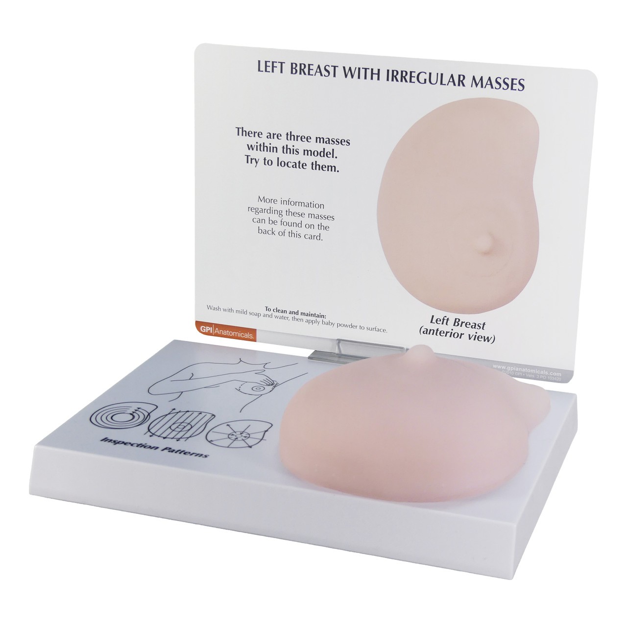 Left Breast Anatomy Model - Soft Tissue With 3 Pathologies