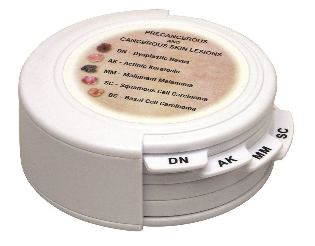 Skin Cancer Disk Set Anatomy Model
