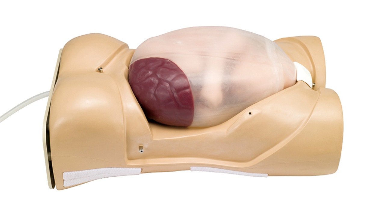 KOKEN Maternity Model Type II