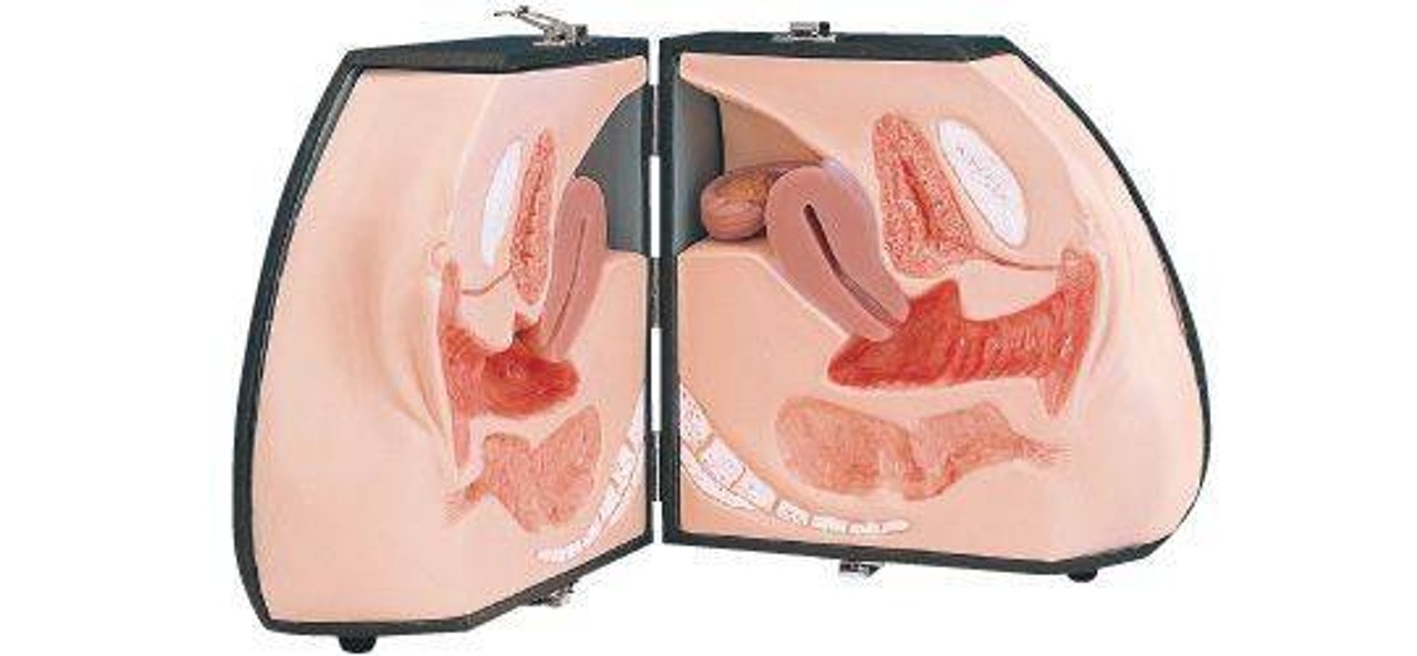 KOKEN Female Organ Model Type I