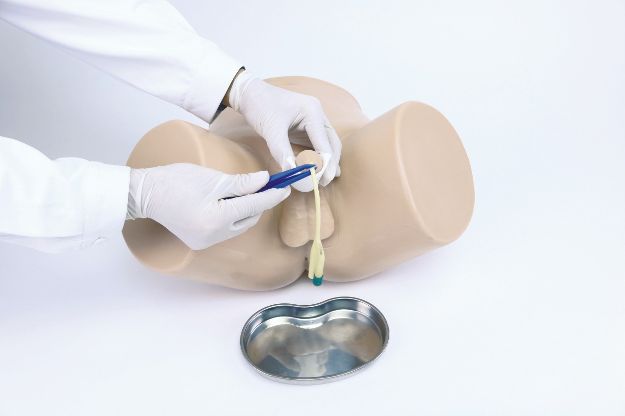 Anatomy Lab Male Catheterization Trainer