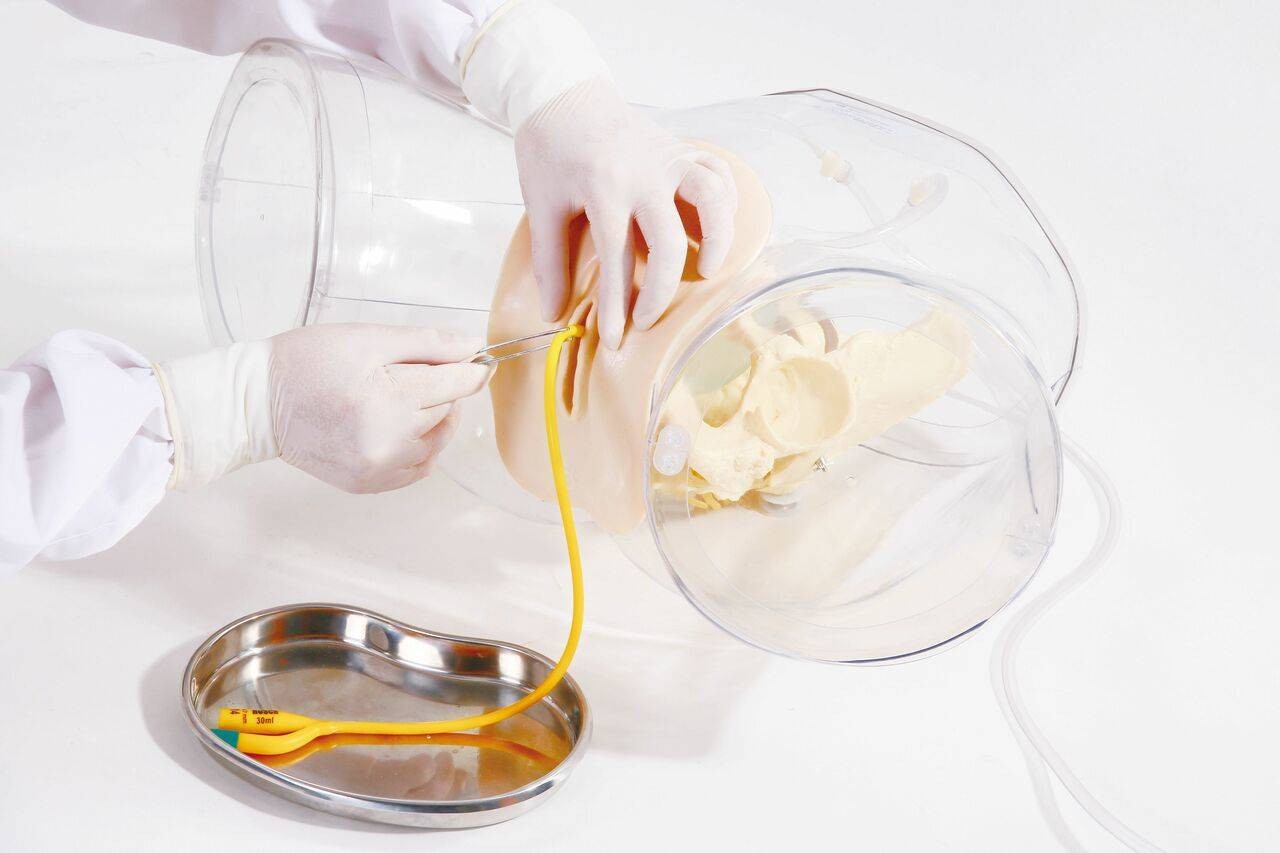 Dual Sex Catheter Transparent Trainer and Urinary System Kit