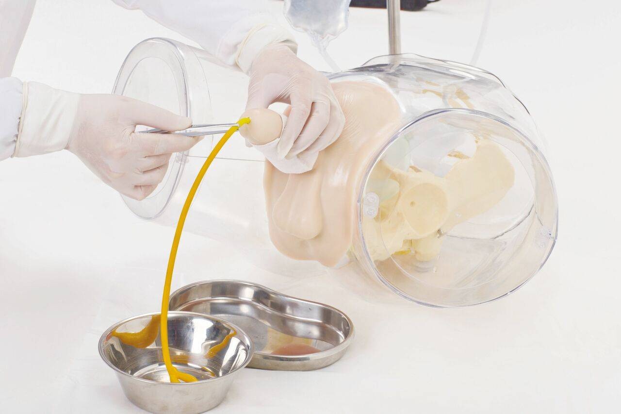 Dual Sex Catheter Transparent Trainer and Urinary System Kit
