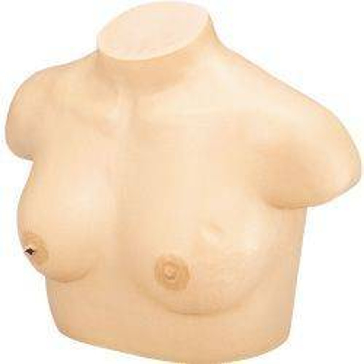 KOKEN Breast Cancer Training Model