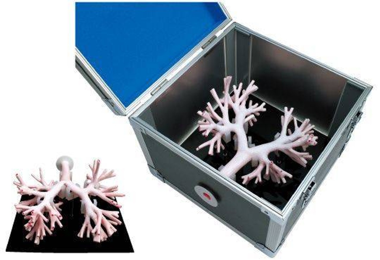 KOKEN Bronchoscopy Training Model
