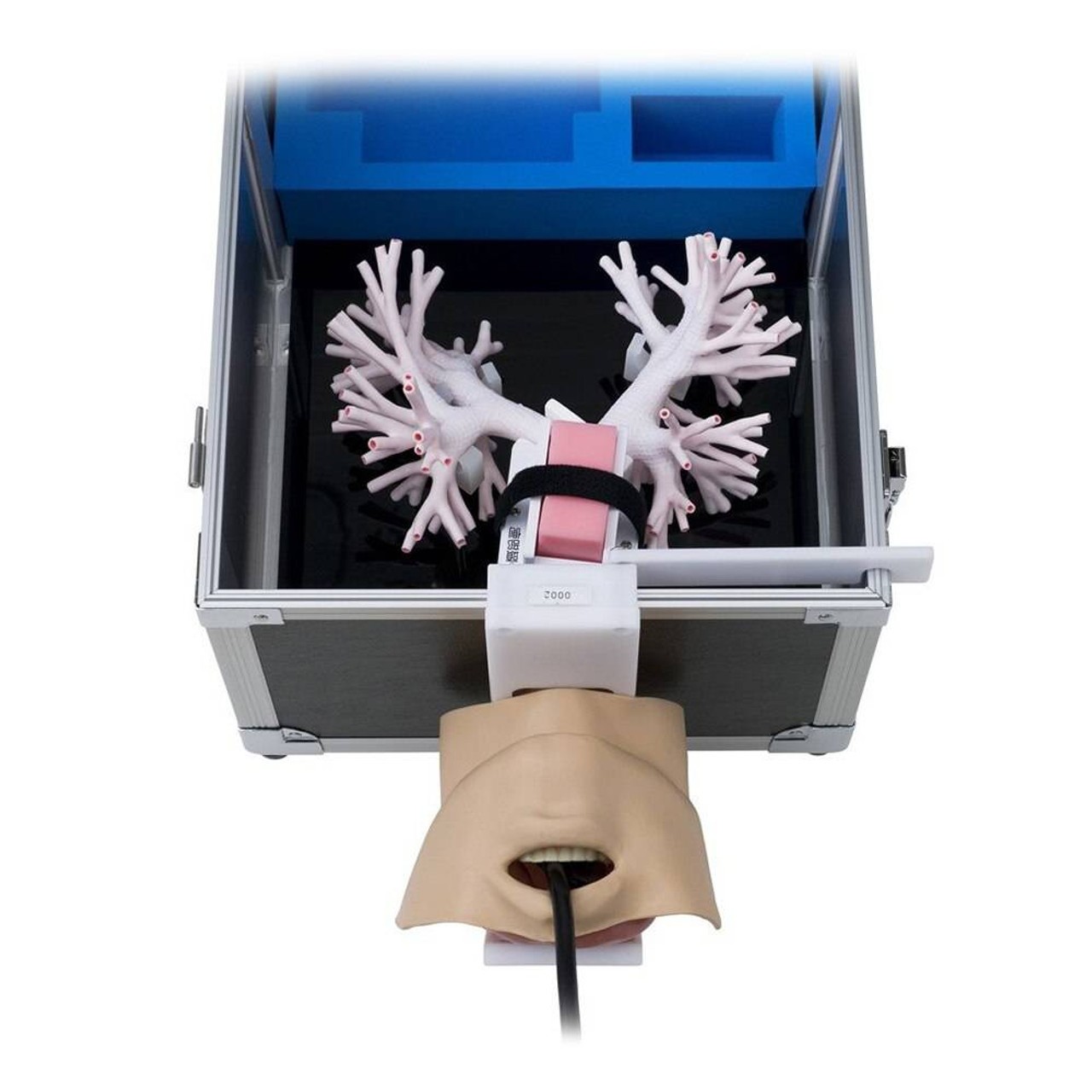 KOKEN Ultrasonic Bronchoscopy Simulator