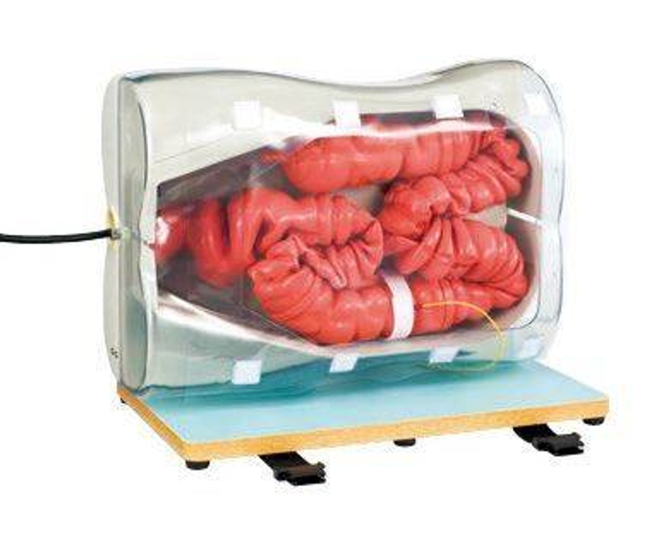 KOKEN Colonoscopy Simulator Type II