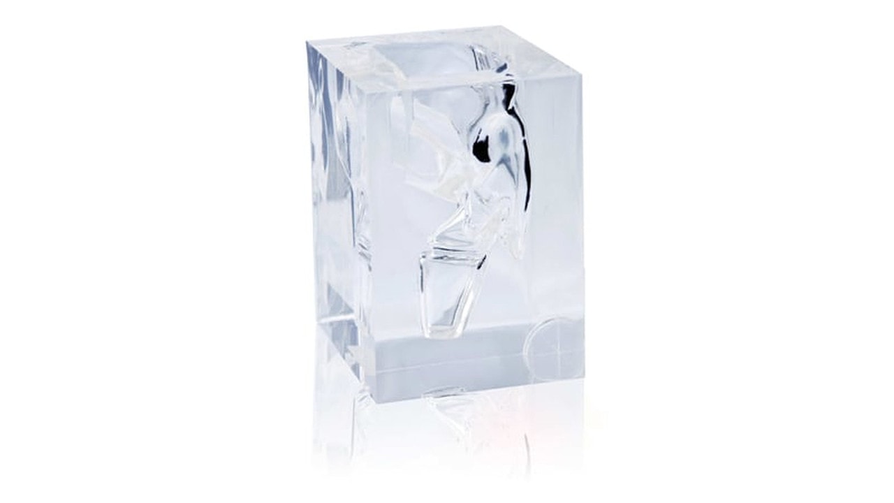 KOKEN Transparent Laryngopharynx Model